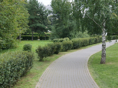JPEG sample-birch-400x300.jpg